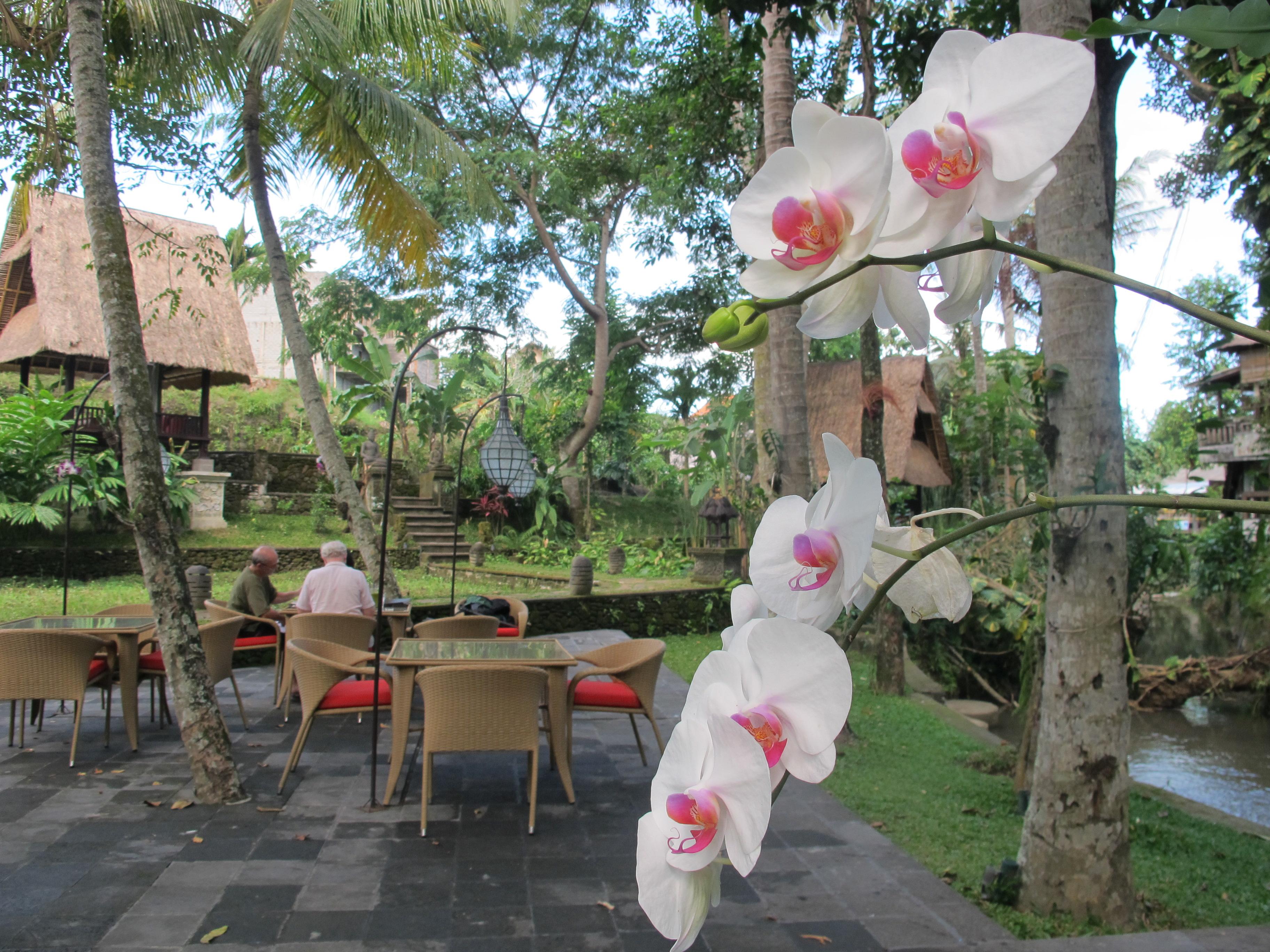 Arma Museum & Resort, Chse Certified Ubud  Luaran gambar